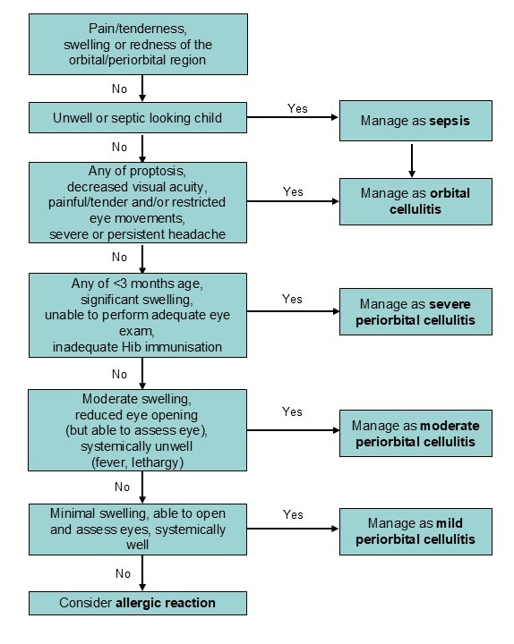 Flowchart periorbital and orbital cellulitis_upload_July2026